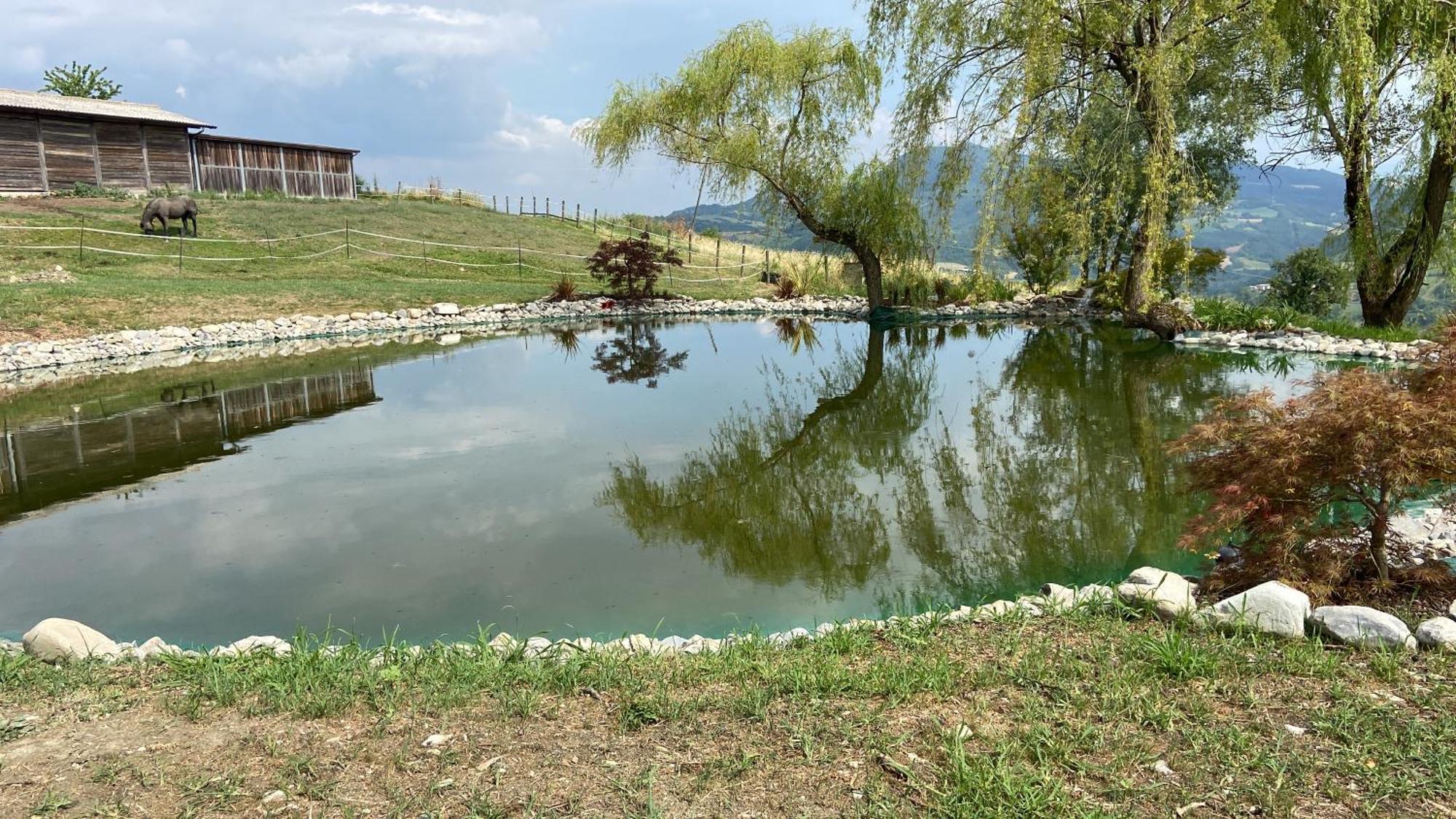 Agriturismo cergallina Villa Vernasca Esterno foto